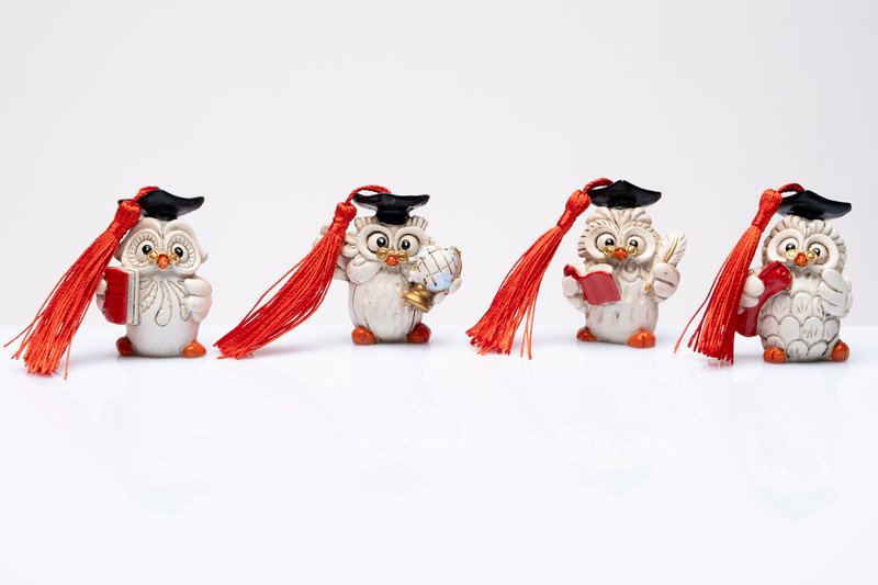 Bomboniere Laurea 2025. Gufetto Laurea